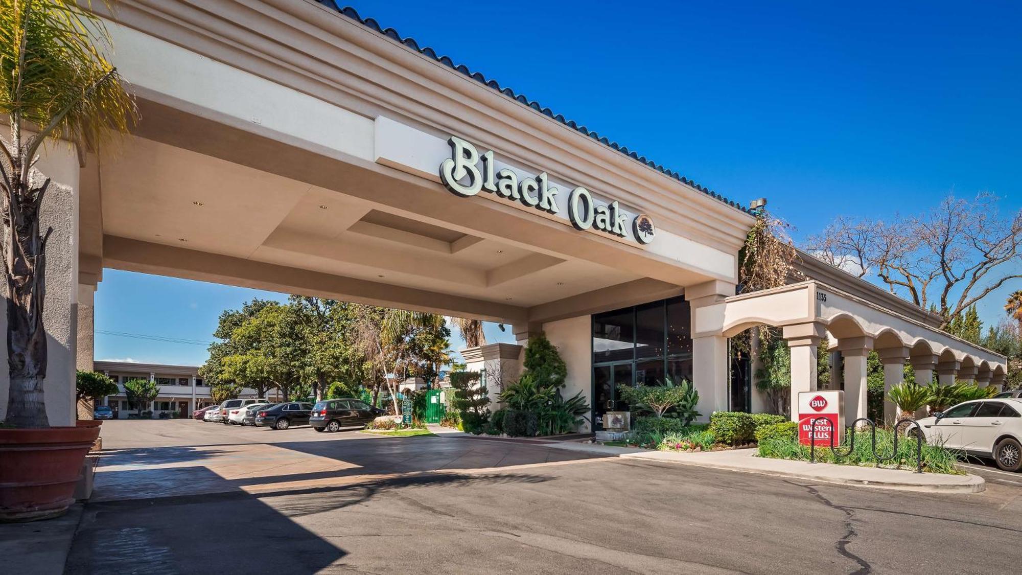 Western Black Oak Hotel Paso Robles